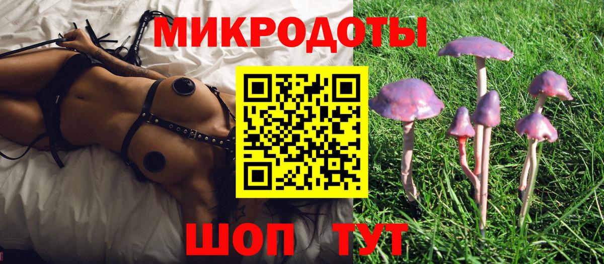 Галлюциногенные грибы мухоморы  Вход с VPN  Клинцы  Псилоцибиновые грибы мицелий 
